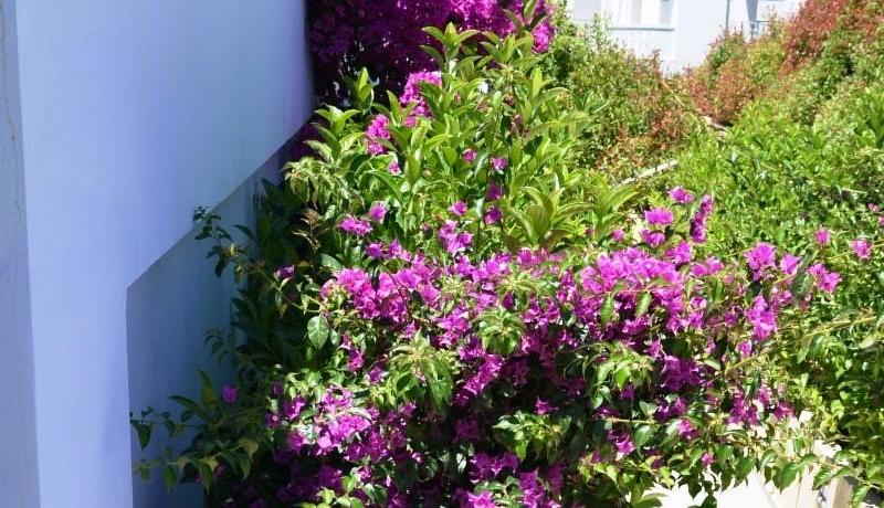 Mare Dei Suite Hotel Ionian Resort