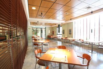 Отель Hotel Jardin Milenio Испания, Аликанте, фото 11