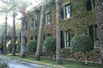 Отель Hotel Jardin Milenio Испания, Аликанте, фото 19