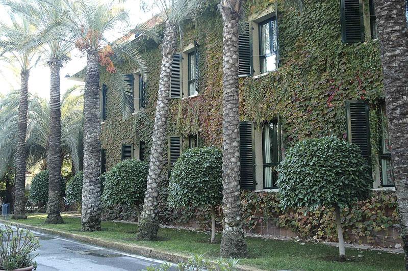 Hotel Jardin Milenio