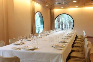 Отель Hotel Jardin Milenio Испания, Аликанте, фото 20