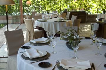 Отель Hotel Jardin Milenio Испания, Аликанте, фото 21