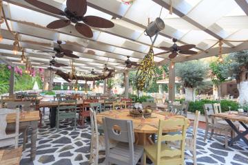 Отель Flamingo Hotel Oludeniz Турция, Олюдениз, фото 25