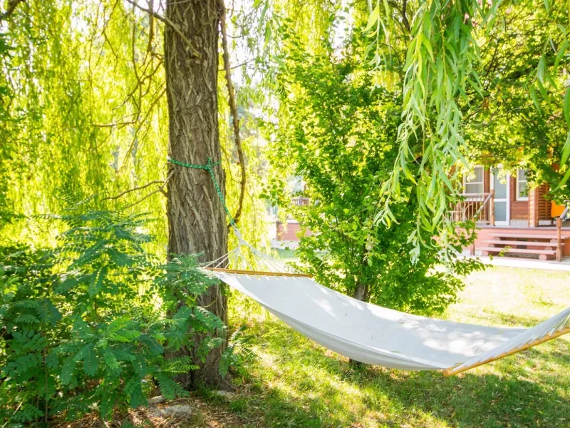 Парк-отель Озеро Дивное