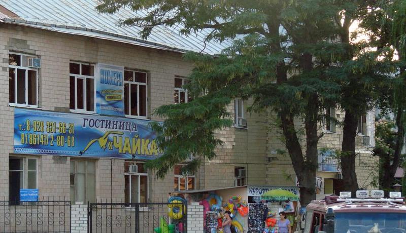 Чайка гостиница