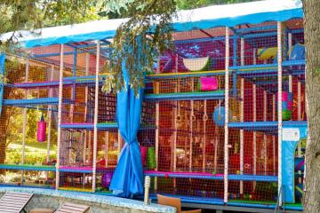 Отель Парк-отель Porto Mare Россия, Алушта, фото 26