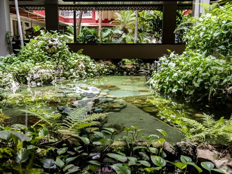 Carrusel Bello Caribe