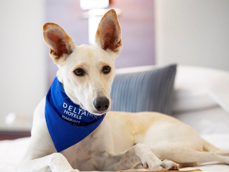 Delta Hotels Jumeirah Beach