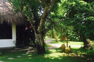 Отель Carnoustie Ayurveda & Wellness Resort Индия, Керала, фото 13