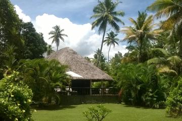 Отель Carnoustie Ayurveda & Wellness Resort Индия, Керала, фото 28