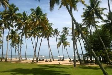Отель Carnoustie Ayurveda & Wellness Resort Индия, Керала, фото 29