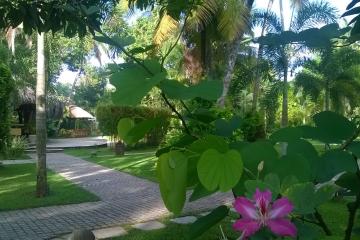 Отель Carnoustie Ayurveda & Wellness Resort Индия, Керала, фото 30