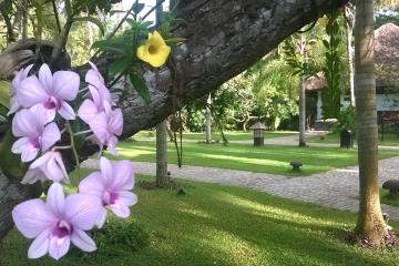 Отель Carnoustie Ayurveda & Wellness Resort Индия, Керала, фото 31