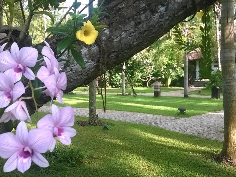 Carnoustie Ayurveda & Wellness Resort