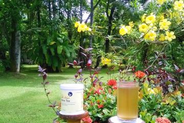 Отель Carnoustie Ayurveda & Wellness Resort Индия, Керала, фото 33