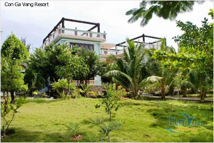 Con Ga Vang Resort