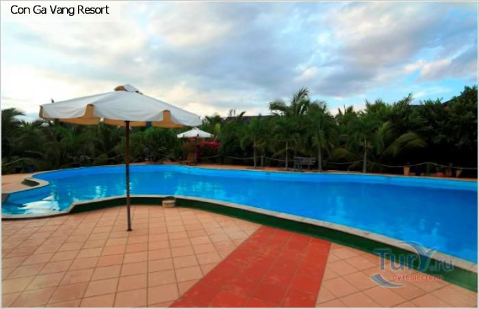 Con Ga Vang Resort