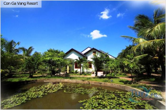 Con Ga Vang Resort