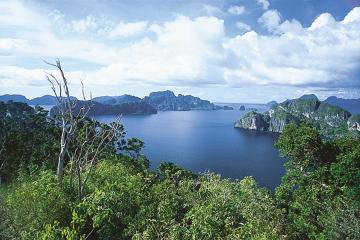 Отель El Nido Pangulasian Island Resort Филиппины, о Палаван, фото 5