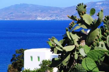 Отель Boheme Mykonos Town Греция, о Миконос, фото 18