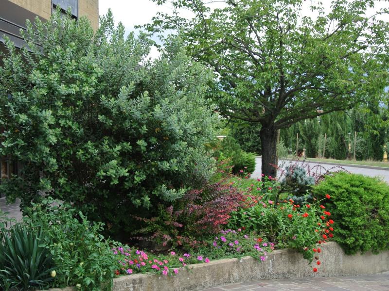 I Ciliegi Hotel