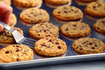 Отель DoubleTree by Hilton Hotel Goa - Arpora - Baga Индия, Арпора, фото 5