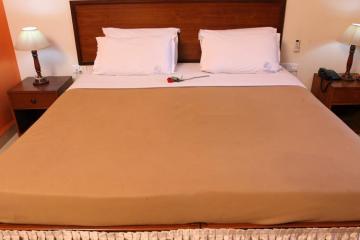 Отель The Village Inn Индия, Южный Гоа, фото 5