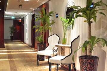 Отель Phoenix ОАЭ, Дейра, фото 4