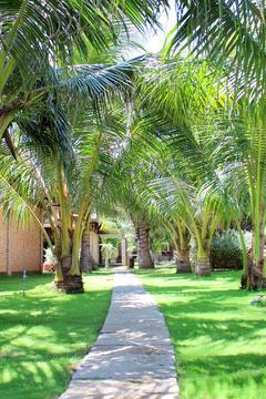 Отель Blue Shell Resort Вьетнам, Муйне, фото 15