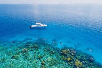 Отель Reveries Diving Village Мальдивы, Лааму Атолл, фото 27