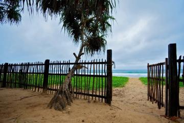 Отель Roman Beach Шри-Ланка, Хиккадува, фото 21