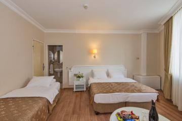 Отель Fuar Hotel Istanbul Турция, Шишли, фото 32