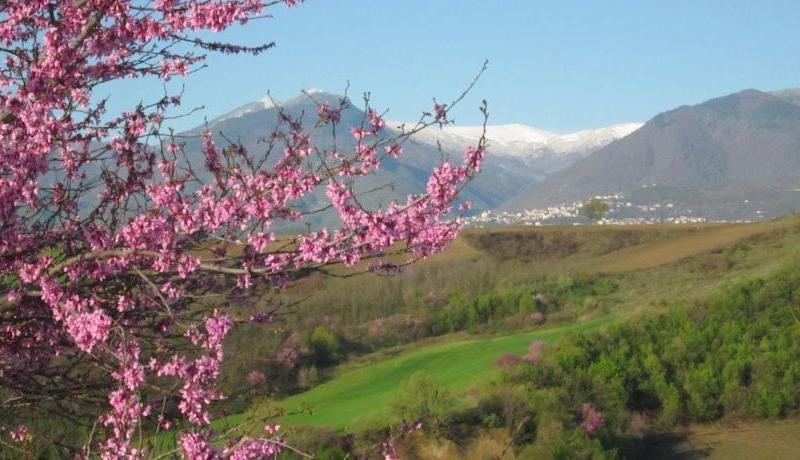 Alseides Boutique Hotel