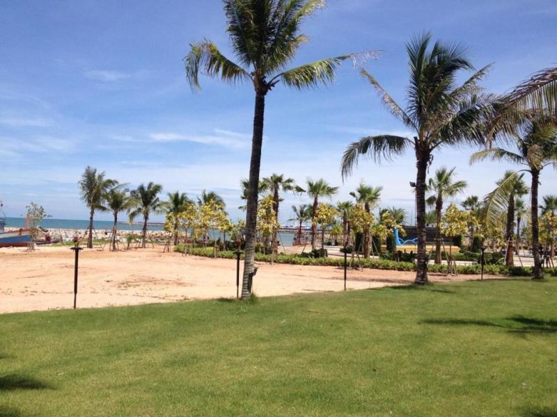 The Sand Beach