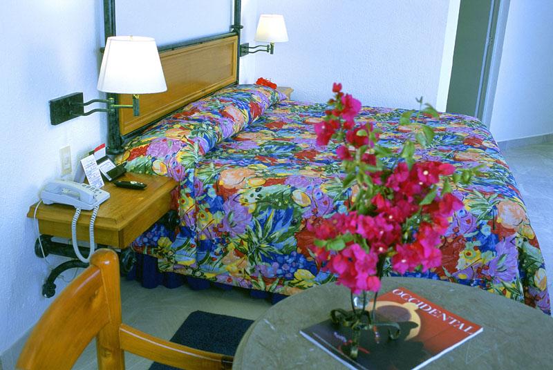 Occidental Nuevo Vallarta