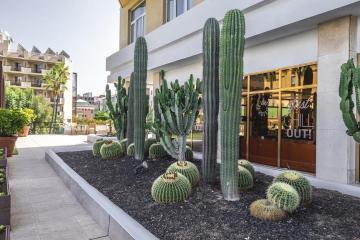 Отель Be Live Adults Only Tenerife Испания, о Тенерифе, фото 24