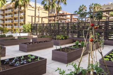 Отель Be Live Adults Only Tenerife Испания, о Тенерифе, фото 25
