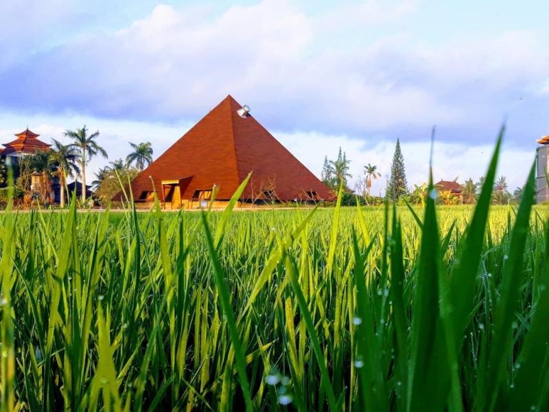 Suly Vegetarian Resort, Yoga & Spa