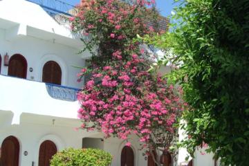 Отель Dahab Plaza Hotel Египет, Дахаб, фото 29