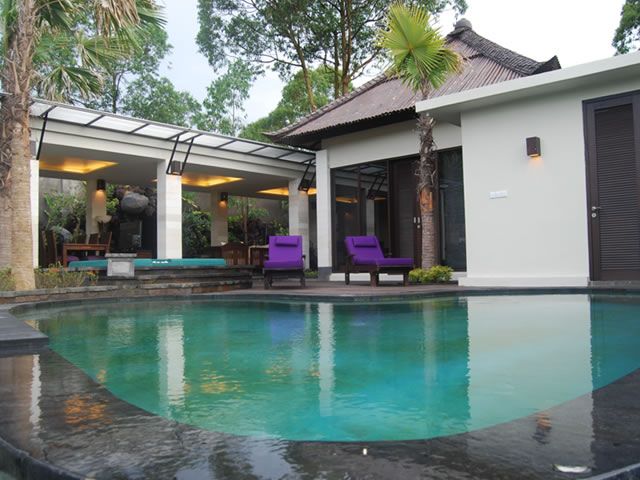 The Ayu Kintamani