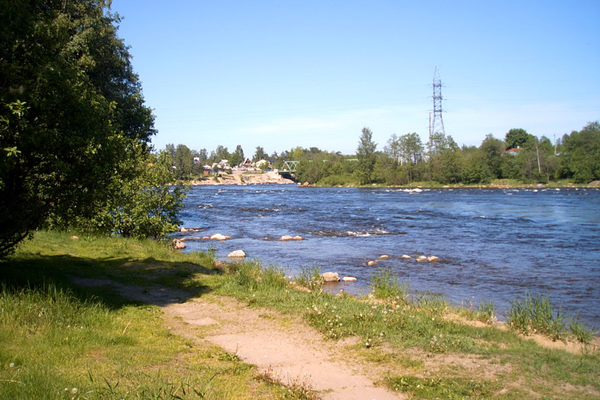 Лосевская