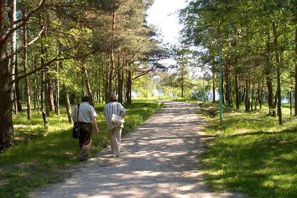 Лосевская