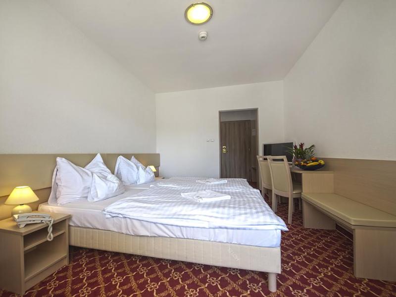 Ket Korona Konferencia es Wellness Hotel