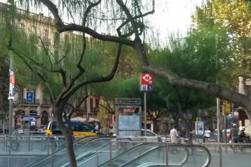 Отель Catalonia Plaza Catalunya (ex. Duques de Bergara) Испания, Барселона, фото 11