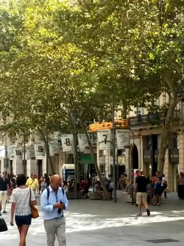 Catalonia Plaza Catalunya (ex. Duques de Bergara)