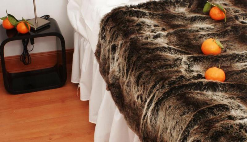 Hostal Santo Domingo