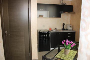 Отель Ника Россия, Адлер, фото 3