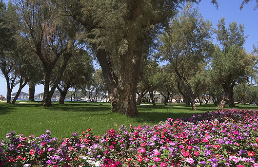 Plaza Resort Hotel