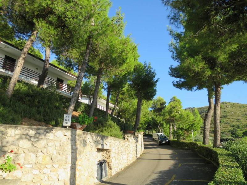 Costa Di Kair Ed Din