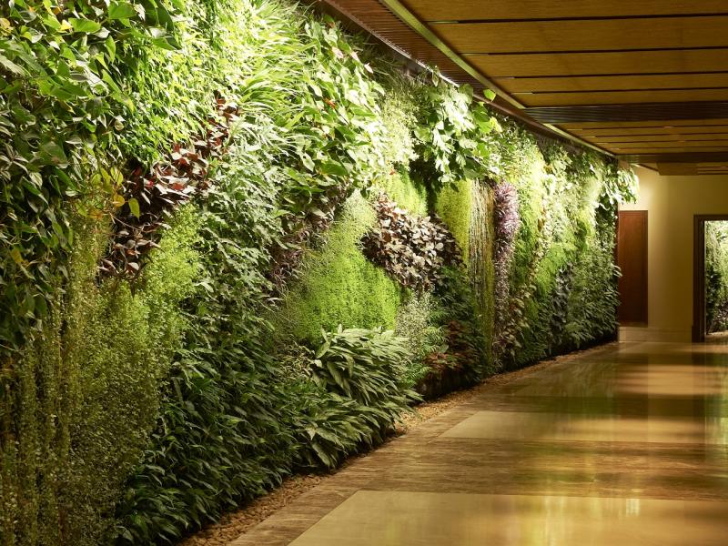 Sofitel Dubai The Palm Resort & Spa